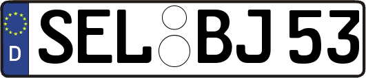 SEL-BJ53