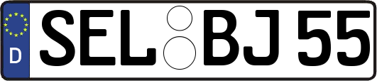 SEL-BJ55