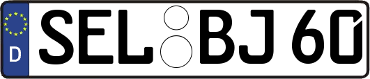 SEL-BJ60