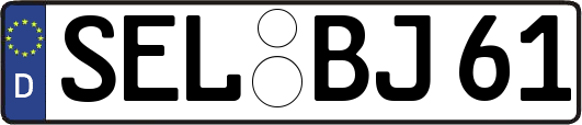SEL-BJ61