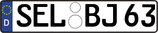 SEL-BJ63