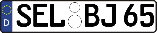 SEL-BJ65
