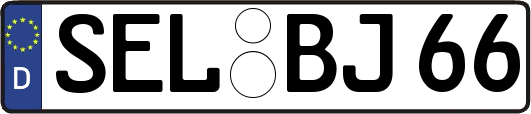 SEL-BJ66