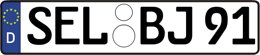 SEL-BJ91