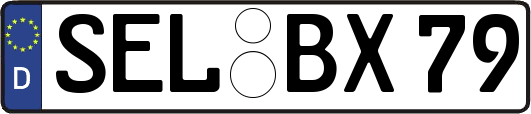 SEL-BX79