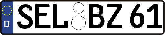 SEL-BZ61