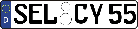 SEL-CY55