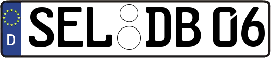 SEL-DB06