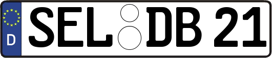 SEL-DB21
