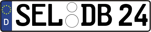 SEL-DB24
