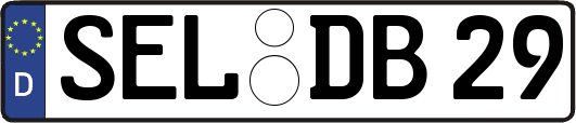 SEL-DB29