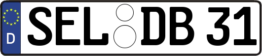 SEL-DB31