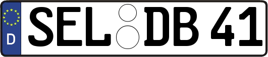 SEL-DB41