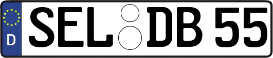 SEL-DB55