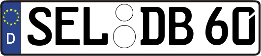 SEL-DB60