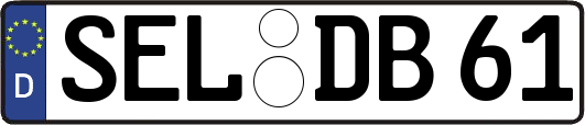 SEL-DB61