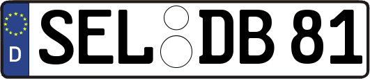SEL-DB81