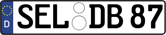 SEL-DB87