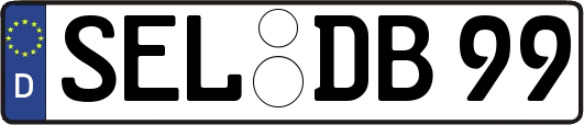 SEL-DB99