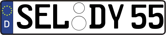 SEL-DY55
