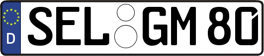 SEL-GM80