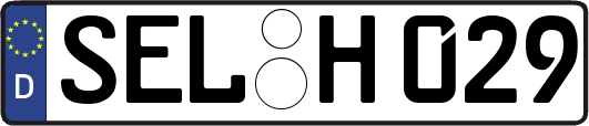 SEL-H029