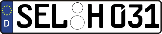 SEL-H031
