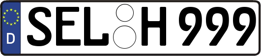 SEL-H999