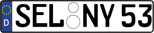 SEL-NY53