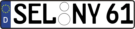 SEL-NY61