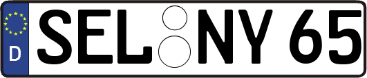 SEL-NY65