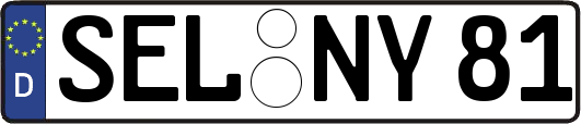 SEL-NY81