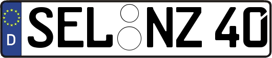 SEL-NZ40