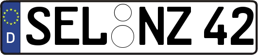 SEL-NZ42
