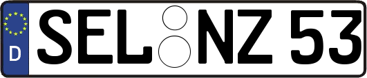 SEL-NZ53