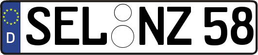 SEL-NZ58