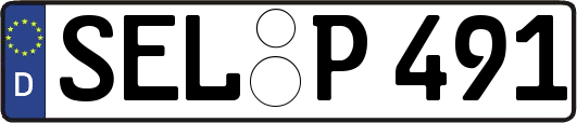 SEL-P491