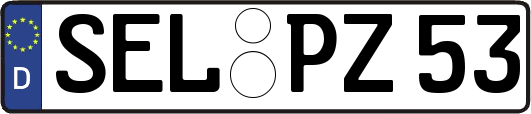 SEL-PZ53