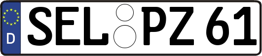 SEL-PZ61
