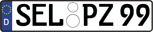 SEL-PZ99