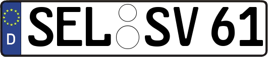 SEL-SV61
