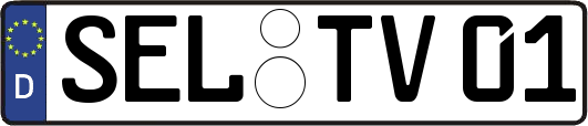 SEL-TV01