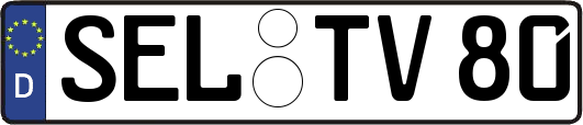 SEL-TV80