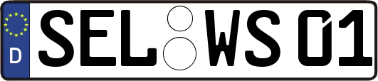 SEL-WS01