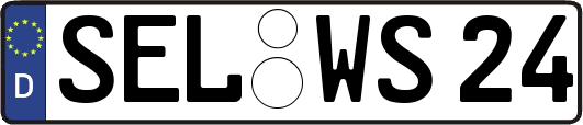 SEL-WS24