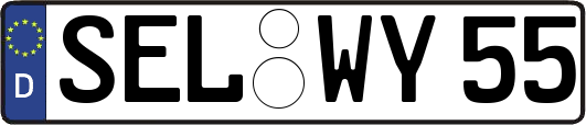 SEL-WY55