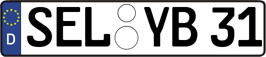 SEL-YB31
