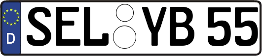 SEL-YB55