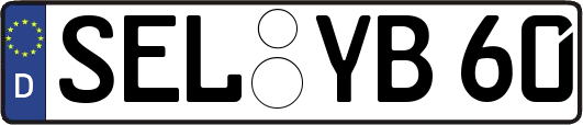 SEL-YB60