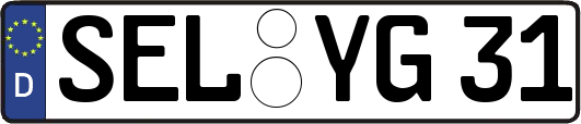 SEL-YG31